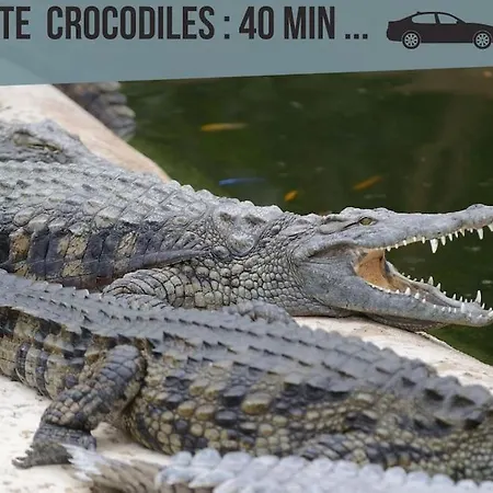 Studio 6 Acces Gare De Et Centre A Pieds Poitiers